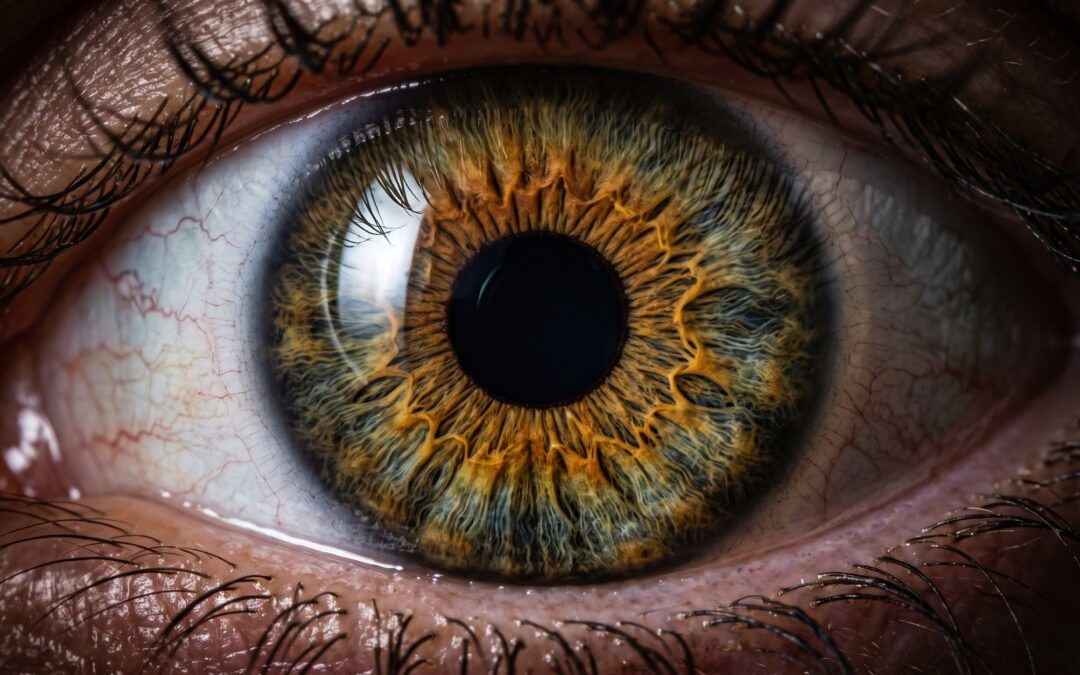 Photographie iris : comment ça marche, prix et où en faire une