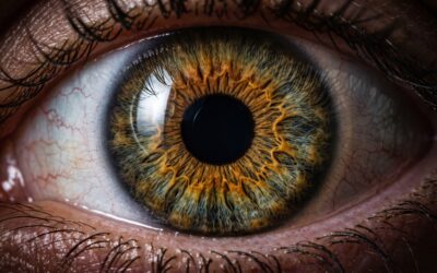 Photographie iris : comment ça marche, prix et où en faire une